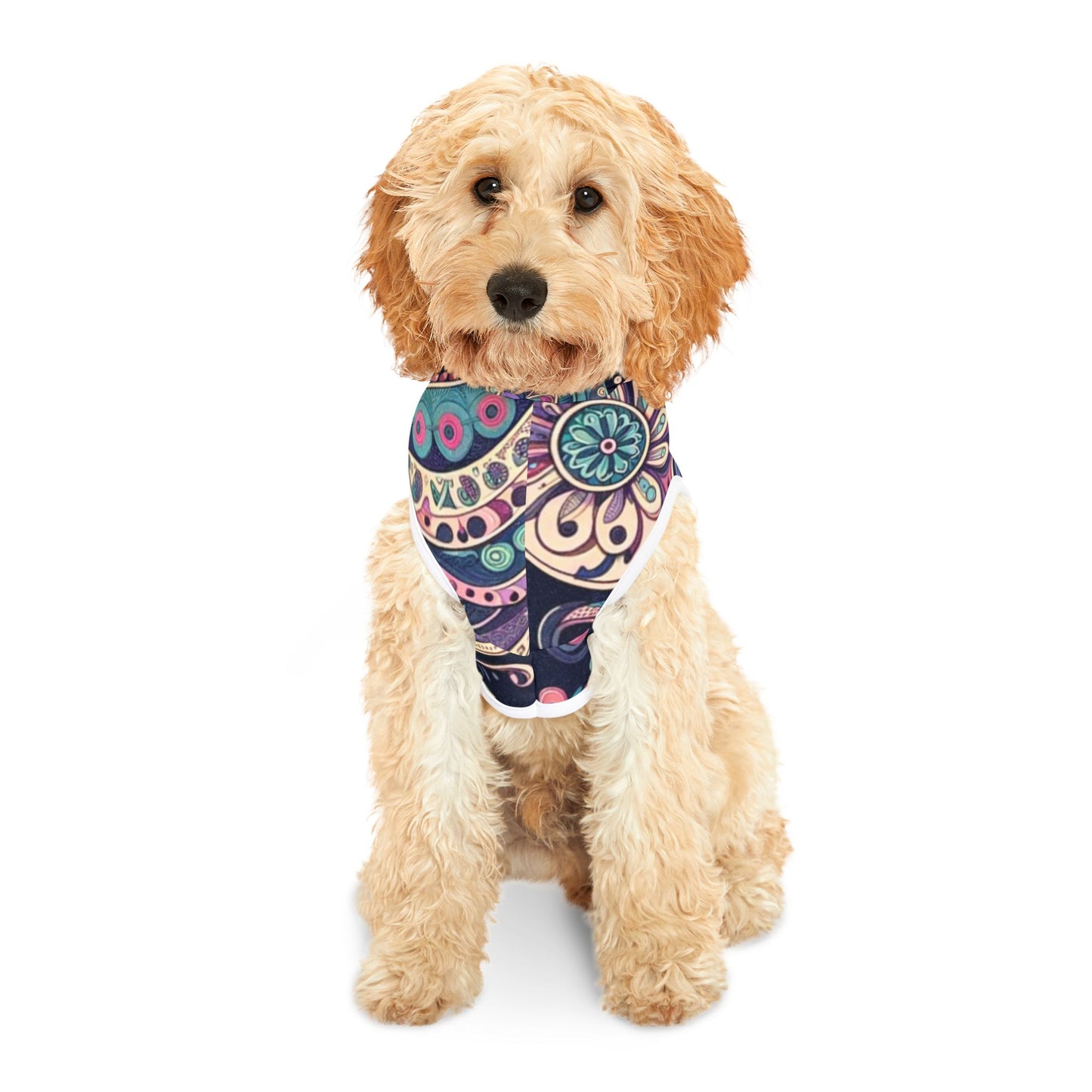 Pet Hoodie